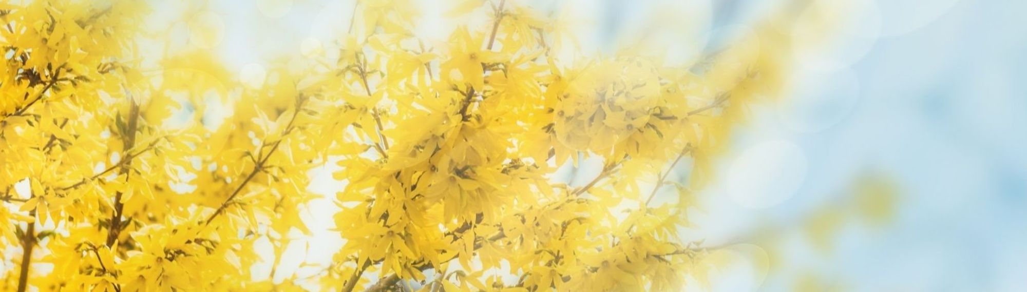 Communications with Parents